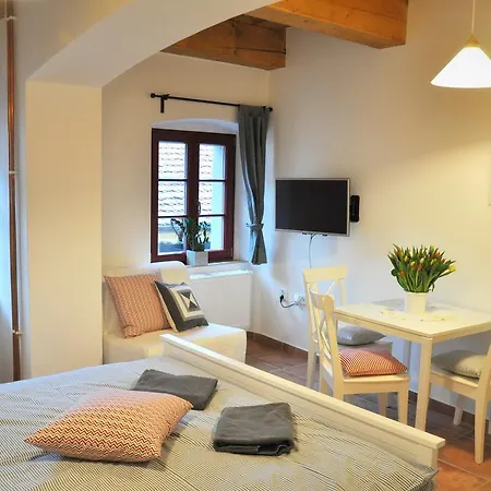 Apartmany U Vavrince Susice  Exterior photo